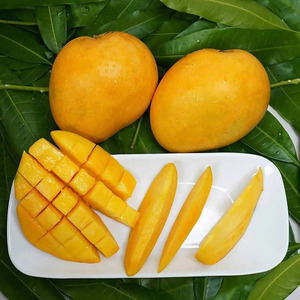 Banginapally Mangoes
