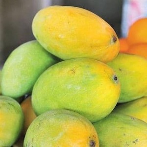 Chinna Rasalu Mangoes