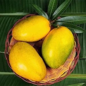 Himayath Mangoes